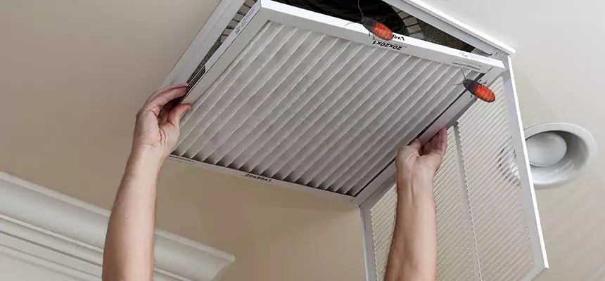 Preventive Cockroach-Proofing for Ducts in Antioch