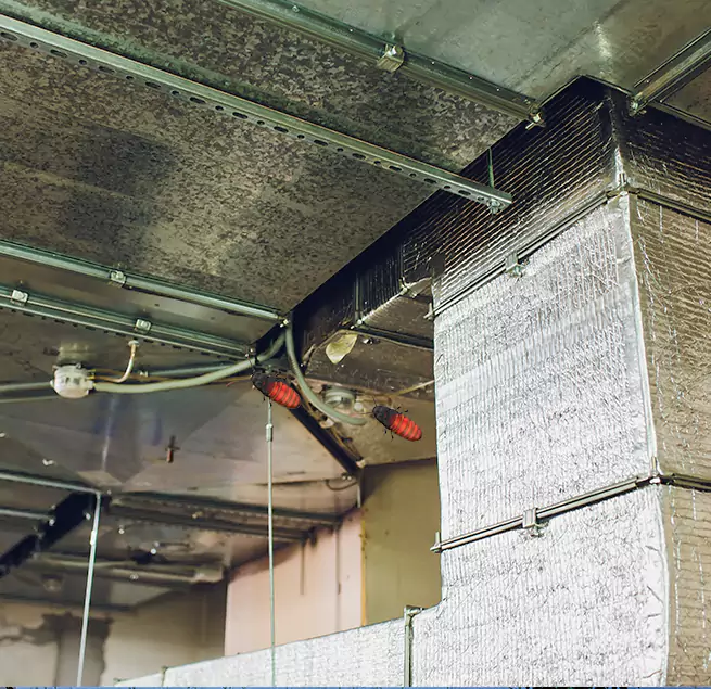 Why Homeowners & Businesses Trust Us in Antioch, CA?